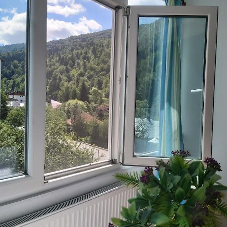Apartment Valea Azugii Азуга Экстерьер фото