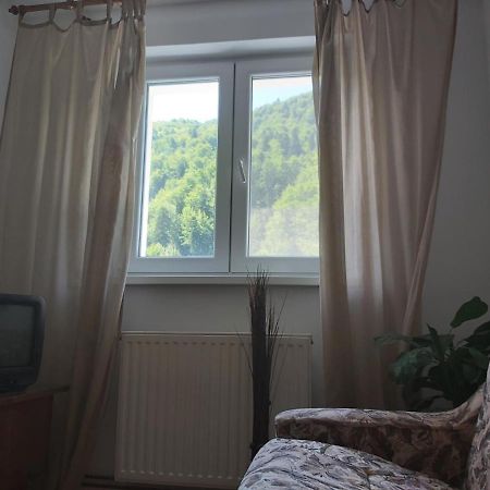 Apartment Valea Azugii Азуга Экстерьер фото