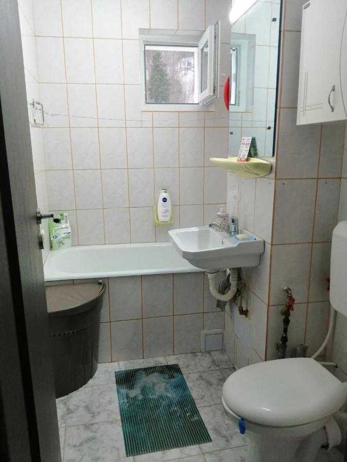 Apartment Valea Azugii Азуга Экстерьер фото