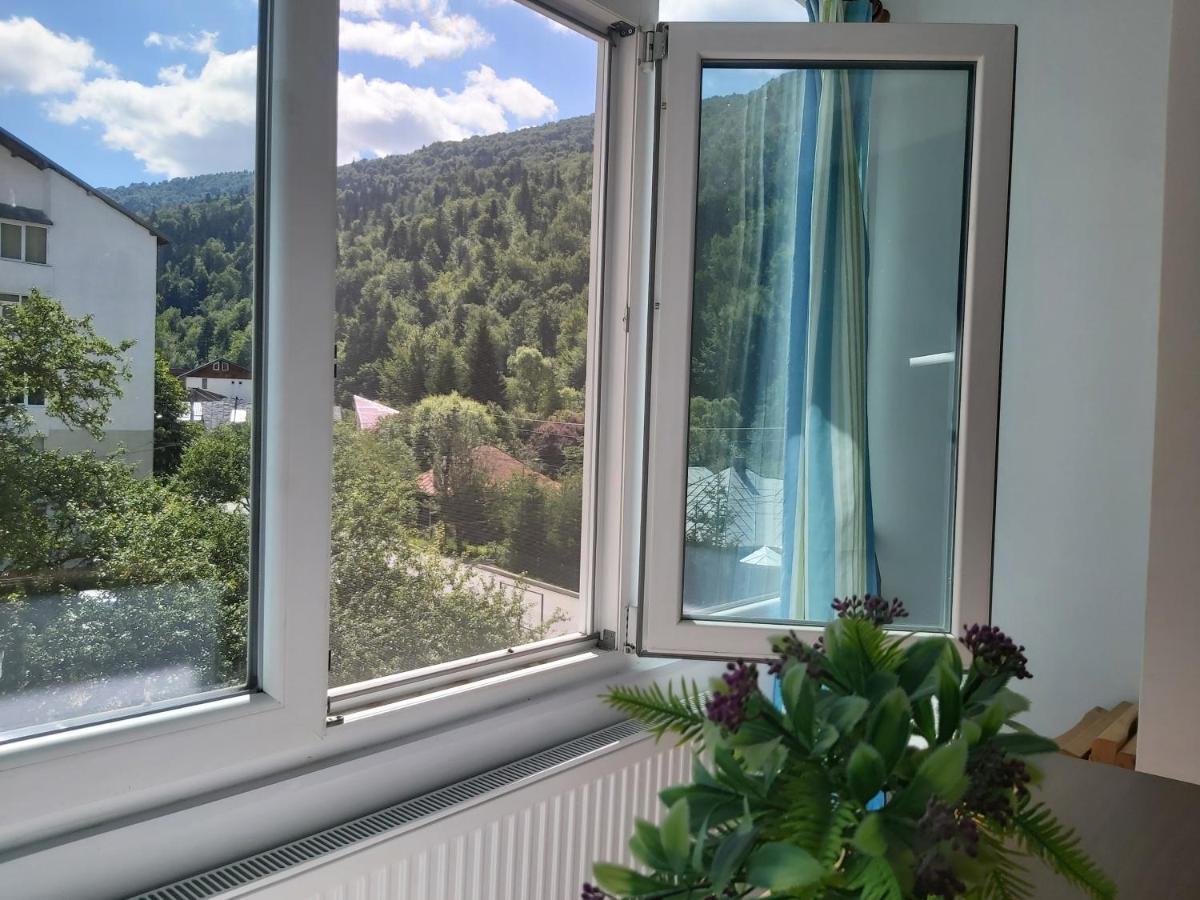 Apartment Valea Azugii Азуга Экстерьер фото