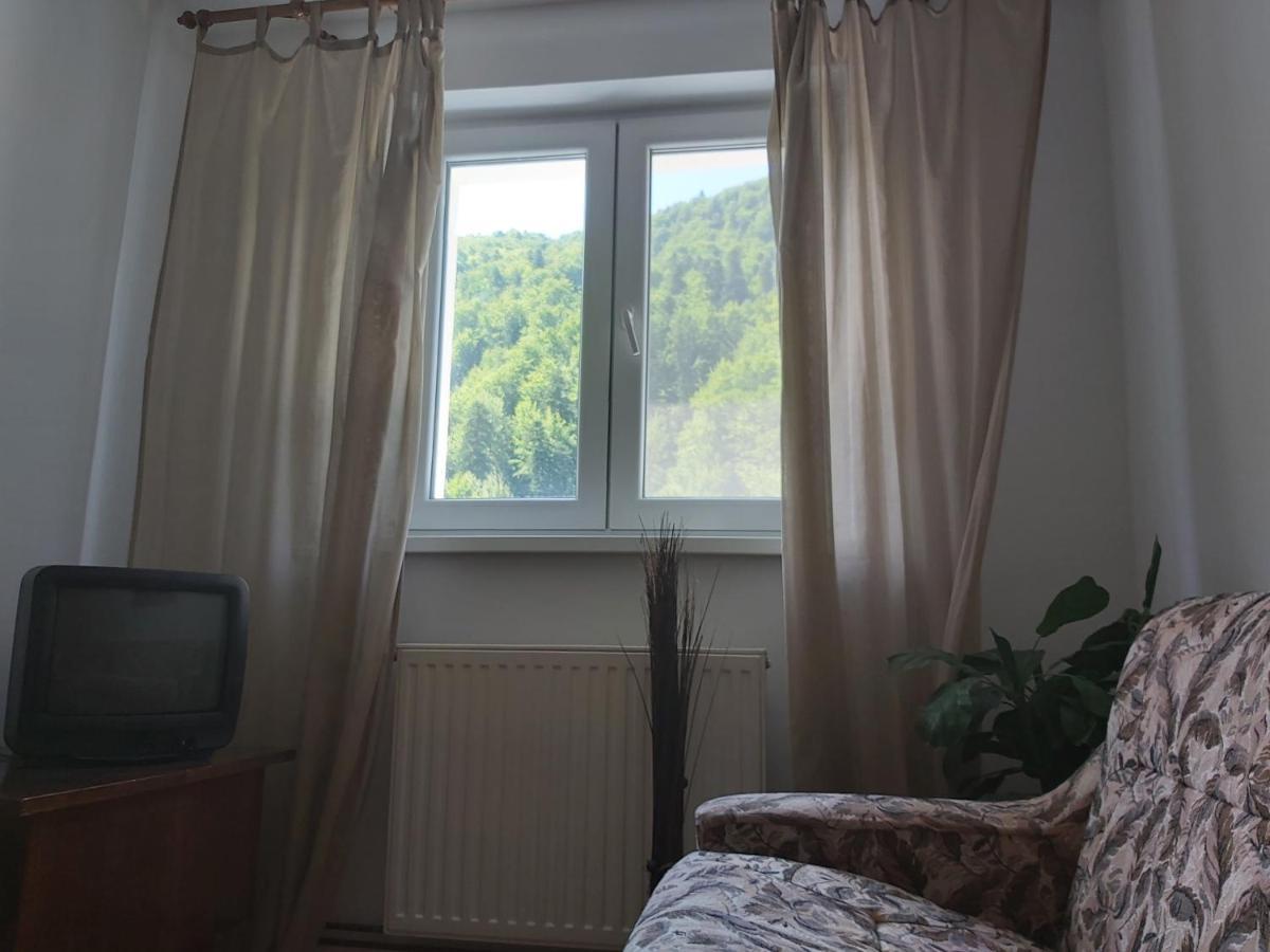 Apartment Valea Azugii Азуга Экстерьер фото