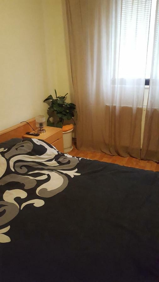 Apartment Valea Azugii Азуга Экстерьер фото